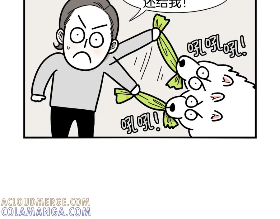 《我的狗子叫棉花》第21话 可怕的换牙期 第13页