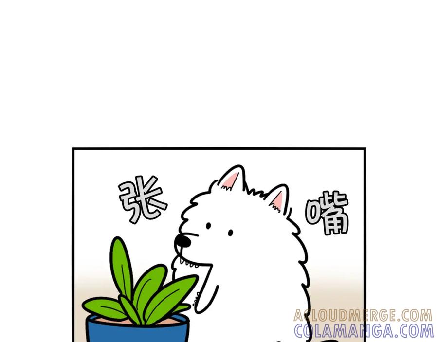 《我的狗子叫棉花》第21话 可怕的换牙期 第55页