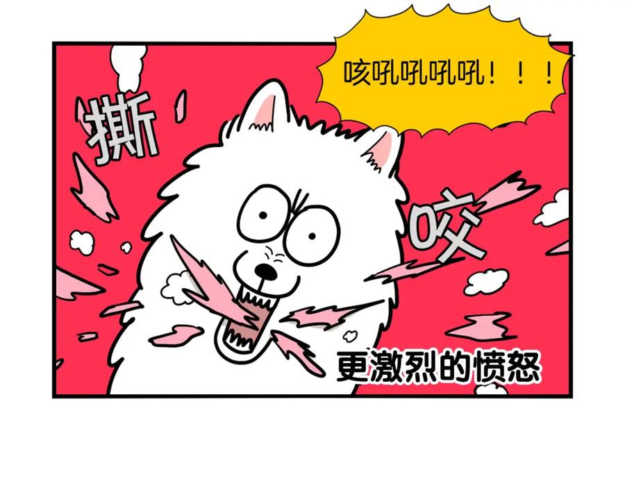 《我的狗子叫棉花》第22话 尝试偏方 第33页