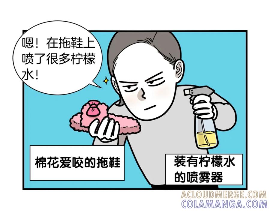 《我的狗子叫棉花》第22话 尝试偏方 第7页
