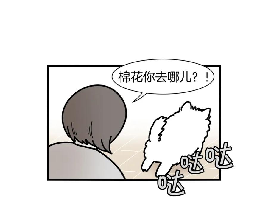 《我的狗子叫棉花》第22话 尝试偏方 第47页