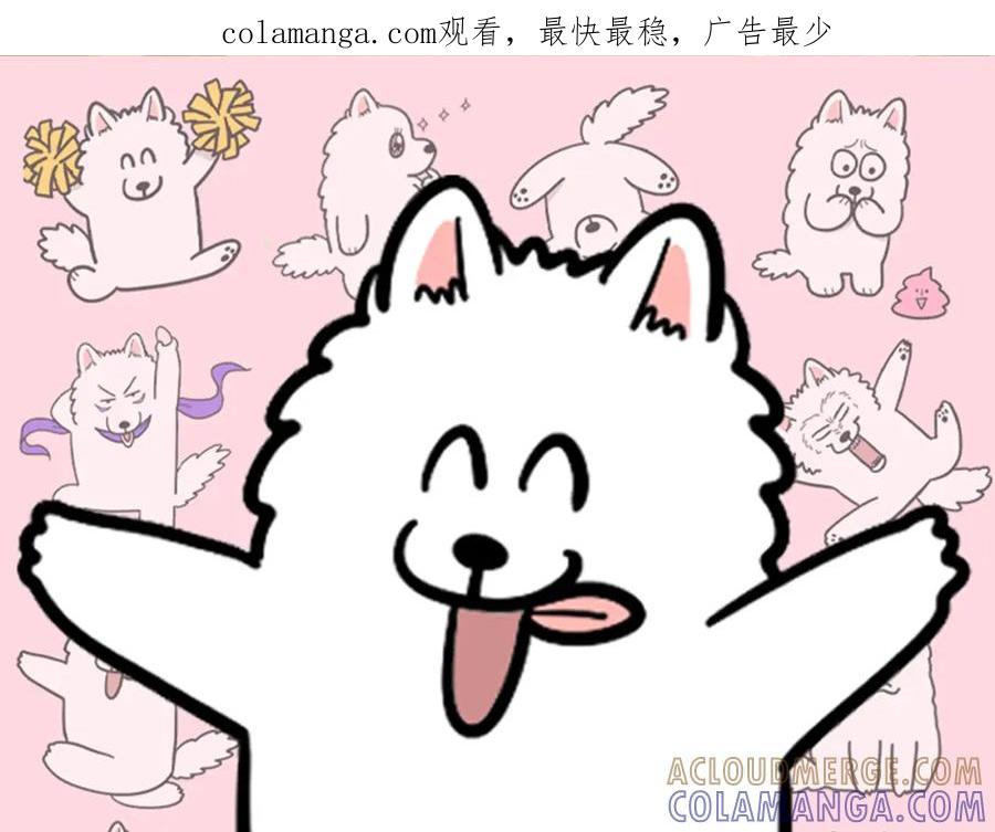 《我的狗子叫棉花》第22话 尝试偏方 第1页