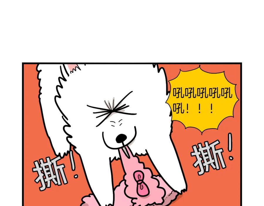 《我的狗子叫棉花》第22话 尝试偏方 第26页