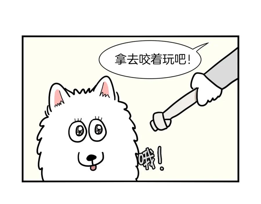 《我的狗子叫棉花》第22话 尝试偏方 第74页