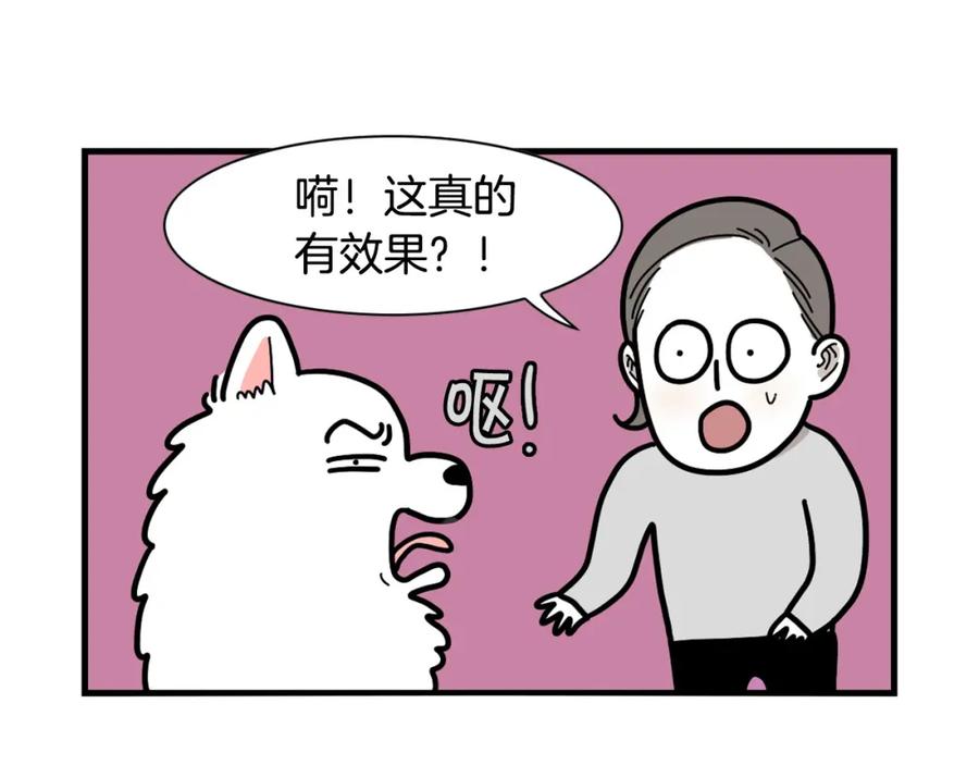 《我的狗子叫棉花》第22话 尝试偏方 第51页
