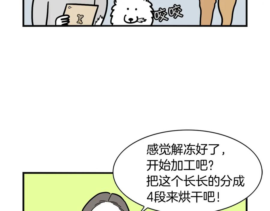 《我的狗子叫棉花》第23话 一双巧手走天下！ 第17页