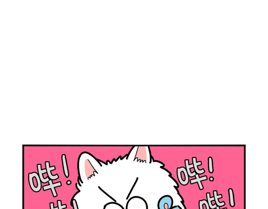 《我的狗子叫棉花》第23话 一双巧手走天下！ 第54页