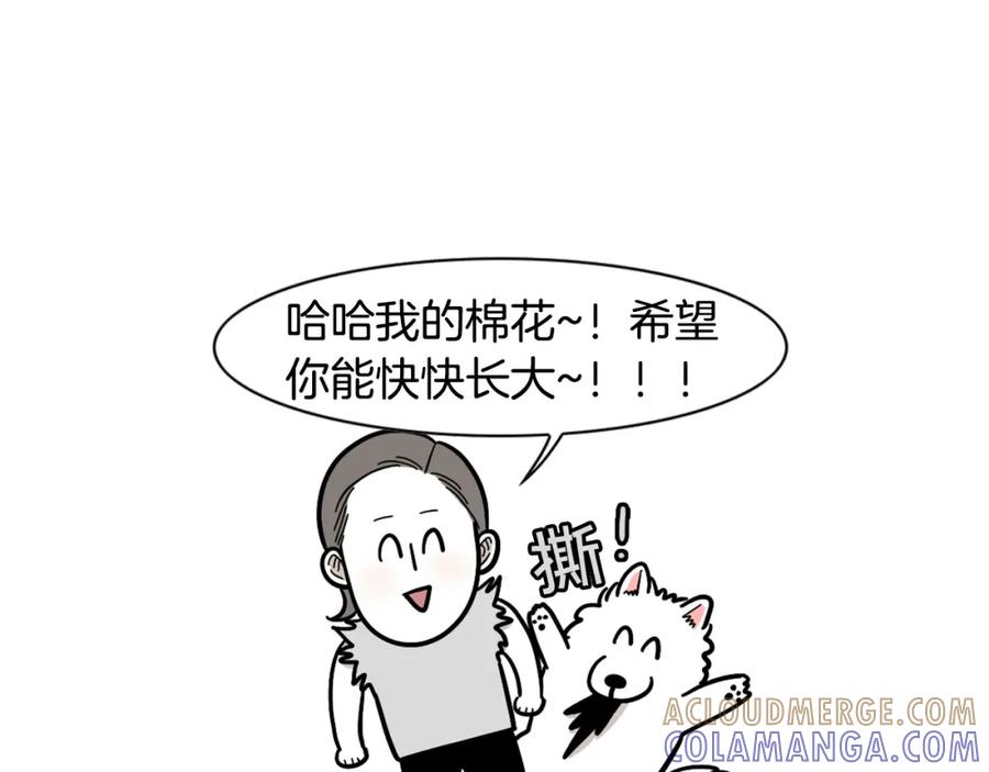 《我的狗子叫棉花》第23话 一双巧手走天下！ 第82页