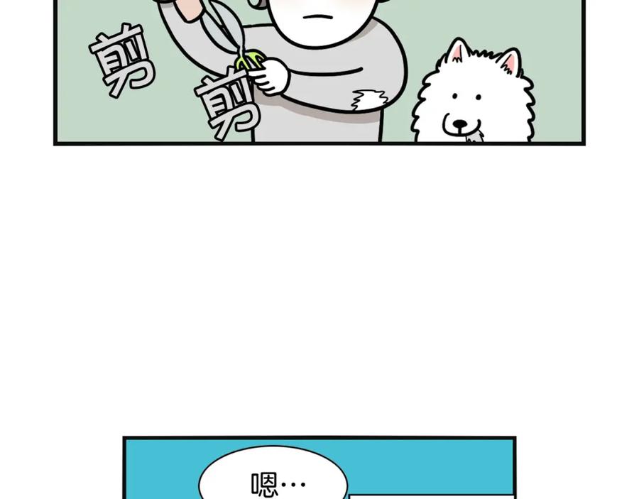 《我的狗子叫棉花》第23话 一双巧手走天下！ 第23页
