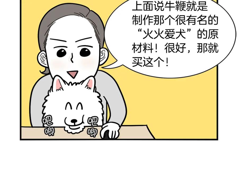 《我的狗子叫棉花》第23话 一双巧手走天下！ 第8页