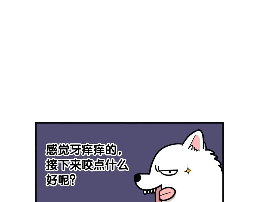 《我的狗子叫棉花》第23话 一双巧手走天下！ 第60页