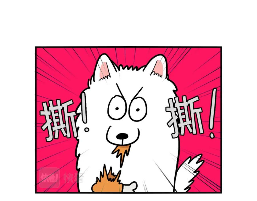 《我的狗子叫棉花》第23话 一双巧手走天下！ 第63页