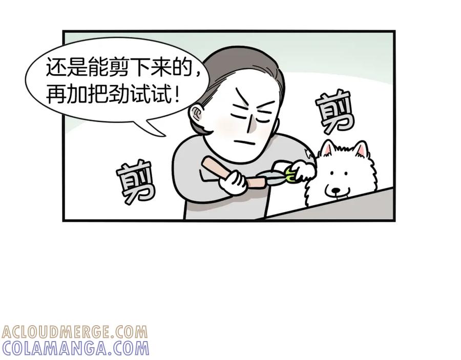 《我的狗子叫棉花》第23话 一双巧手走天下！ 第25页