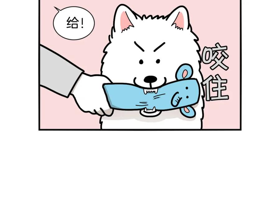 《我的狗子叫棉花》第23话 一双巧手走天下！ 第51页