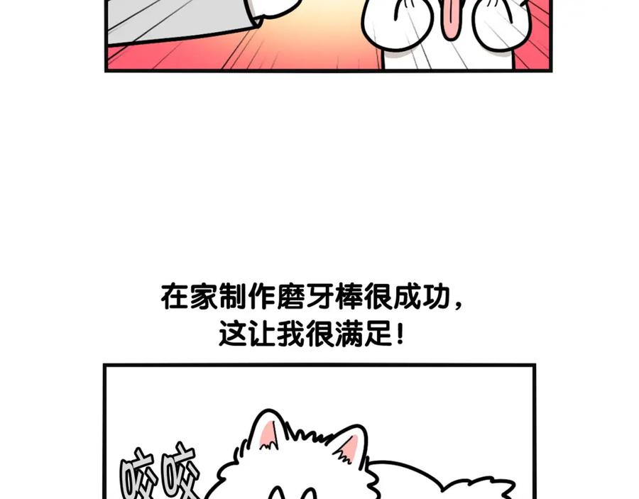 《我的狗子叫棉花》第23话 一双巧手走天下！ 第39页