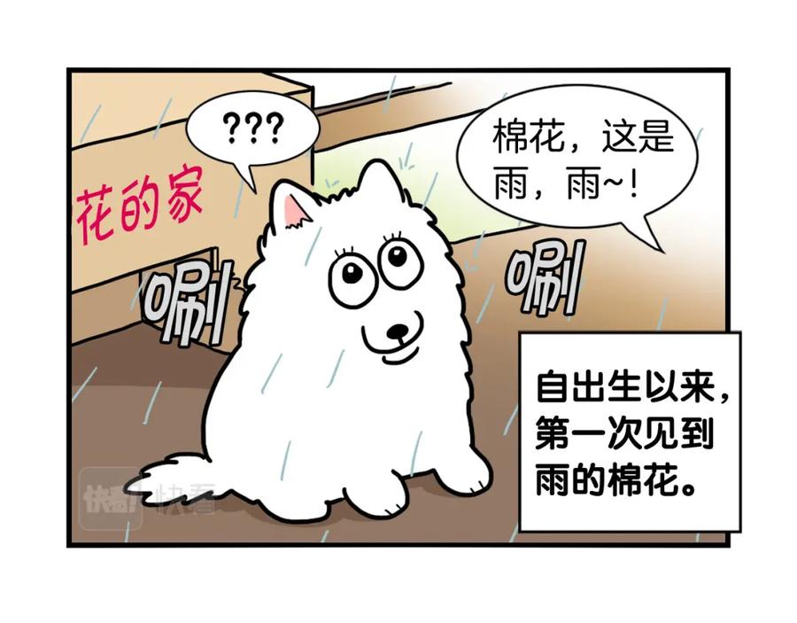 《我的狗子叫棉花》第24话 棉花的窝 第36页