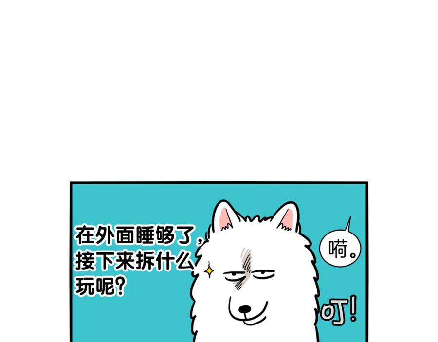 《我的狗子叫棉花》第24话 棉花的窝 第20页