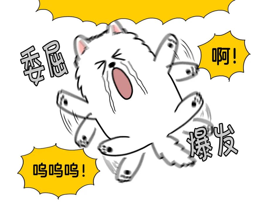 《我的狗子叫棉花》第25话 太闹腾的后果 第42页
