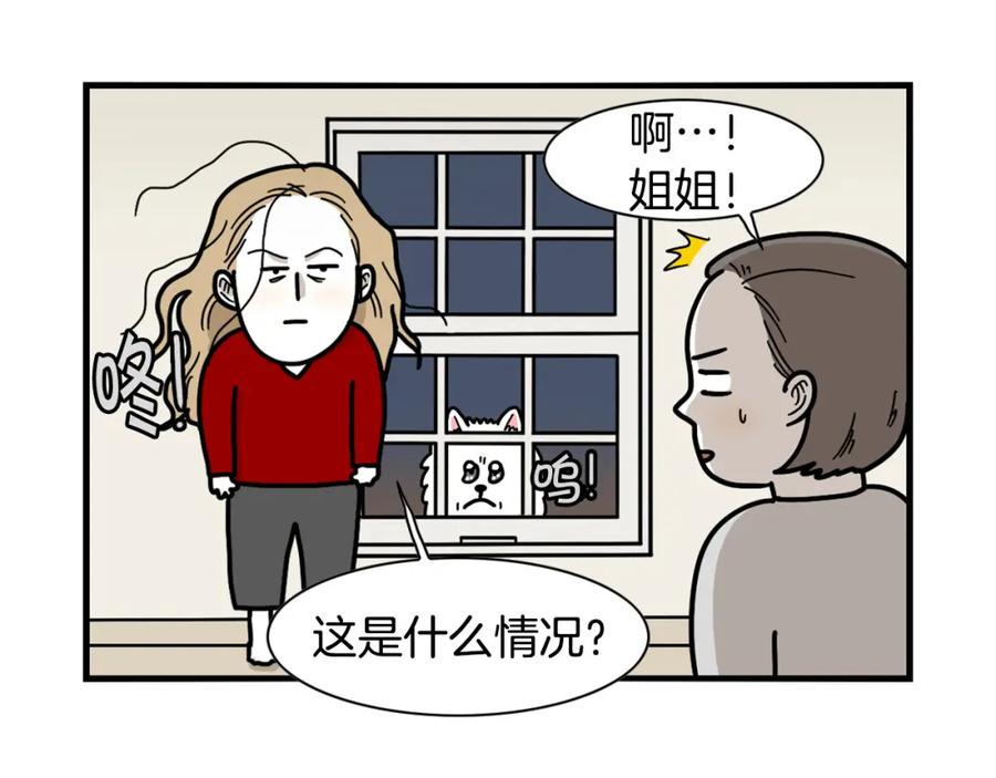 《我的狗子叫棉花》第25话 太闹腾的后果 第78页