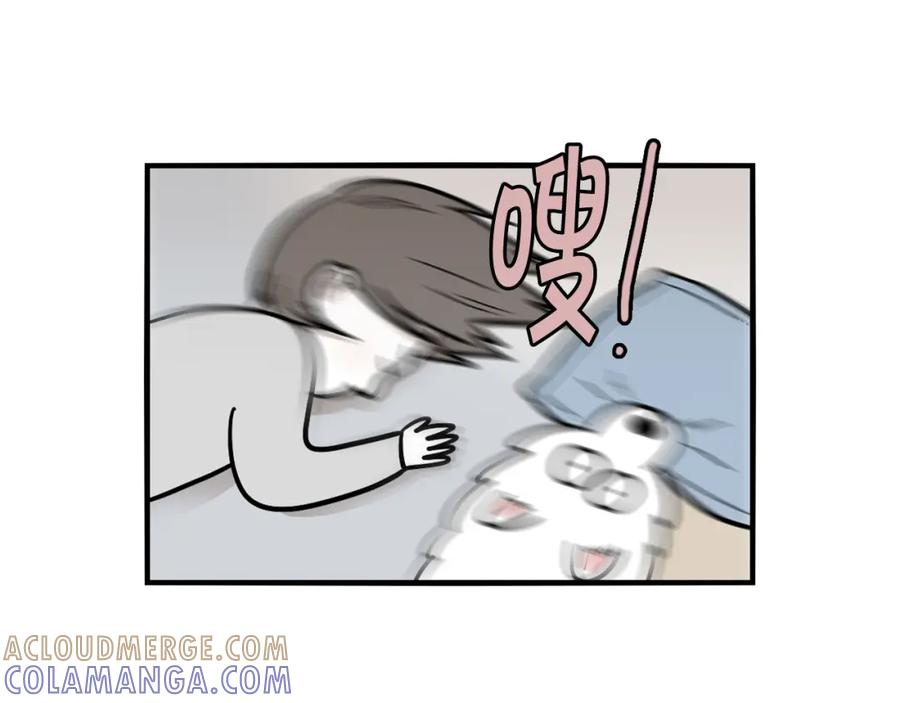 《我的狗子叫棉花》第25话 太闹腾的后果 第22页