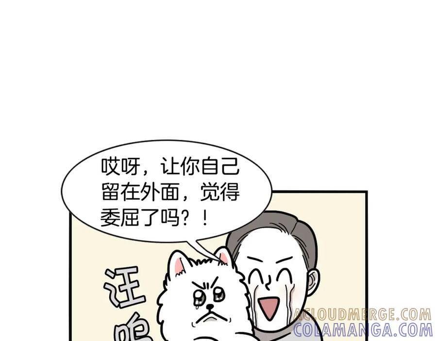 《我的狗子叫棉花》第25话 太闹腾的后果 第46页