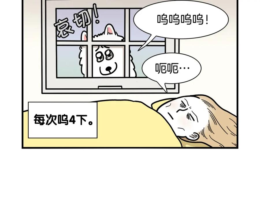 《我的狗子叫棉花》第26话 棉花牌闹钟 第22页