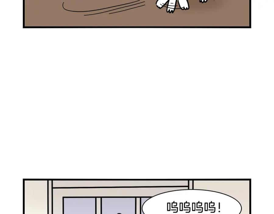 《我的狗子叫棉花》第26话 棉花牌闹钟 第18页