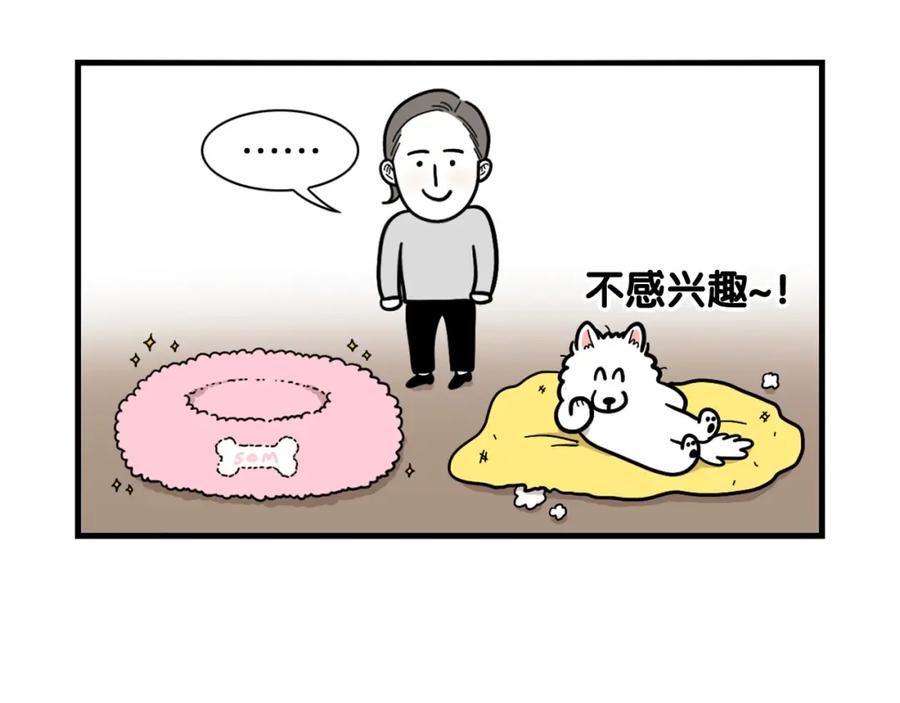 《我的狗子叫棉花》第27话 猫犬不宁？ 第11页
