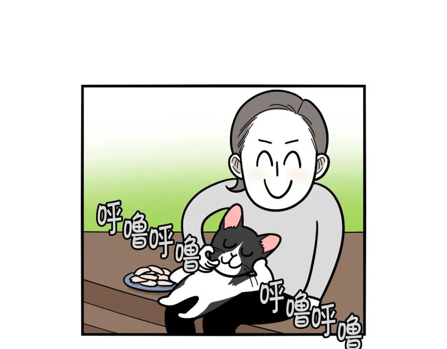 《我的狗子叫棉花》第27话 猫犬不宁？ 第50页