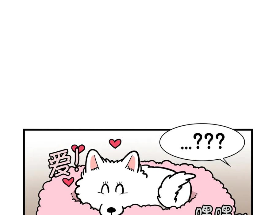 《我的狗子叫棉花》第27话 猫犬不宁？ 第38页