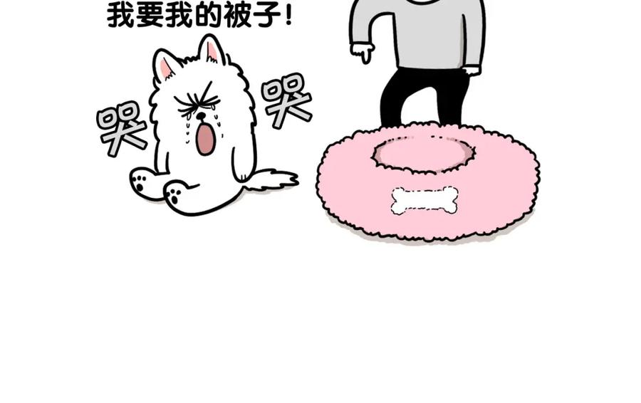 《我的狗子叫棉花》第27话 猫犬不宁？ 第33页