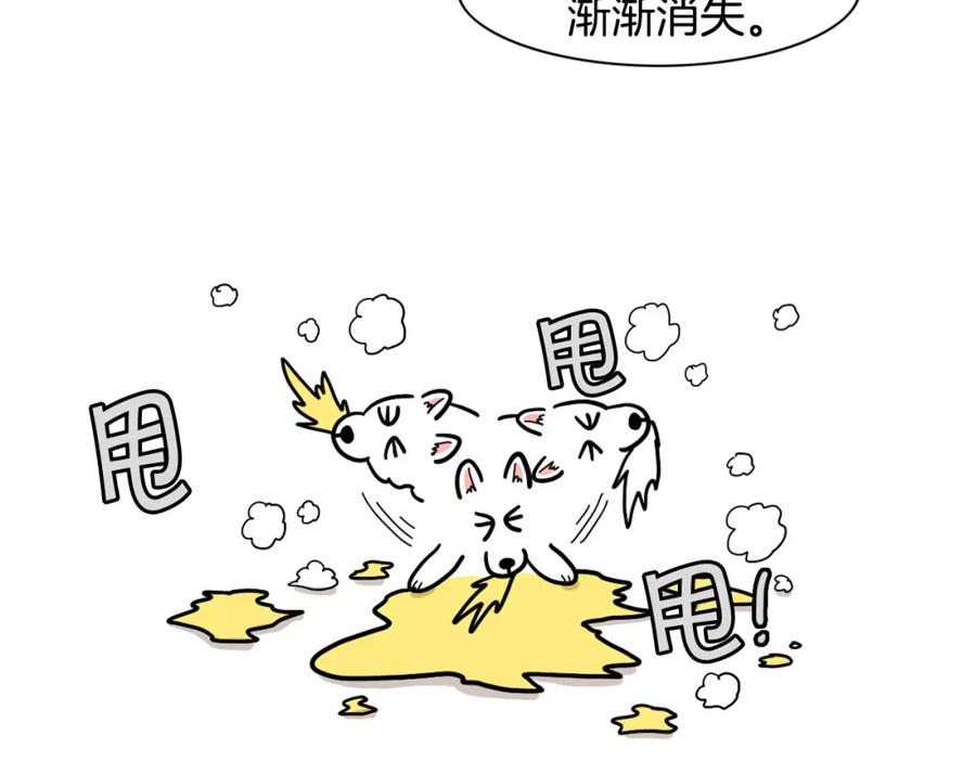 《我的狗子叫棉花》第27话 猫犬不宁？ 第26页