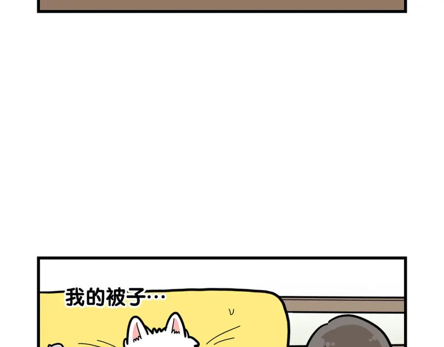 《我的狗子叫棉花》第27话 猫犬不宁？ 第23页