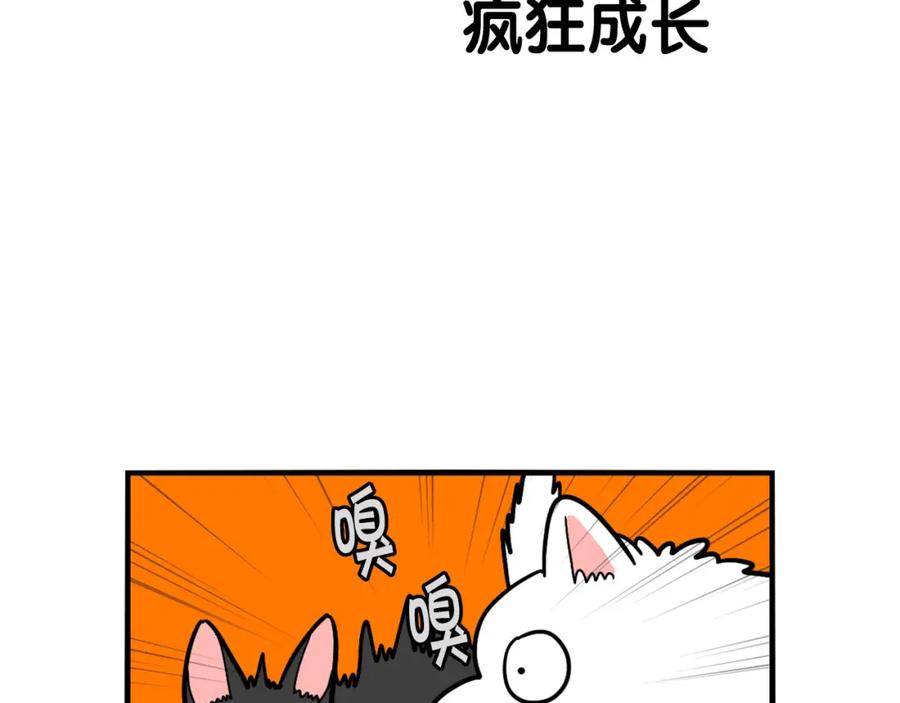 《我的狗子叫棉花》第27话 猫犬不宁？ 第74页