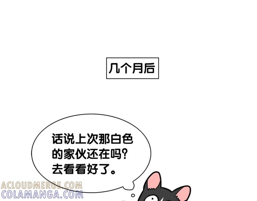 《我的狗子叫棉花》第27话 猫犬不宁？ 第70页