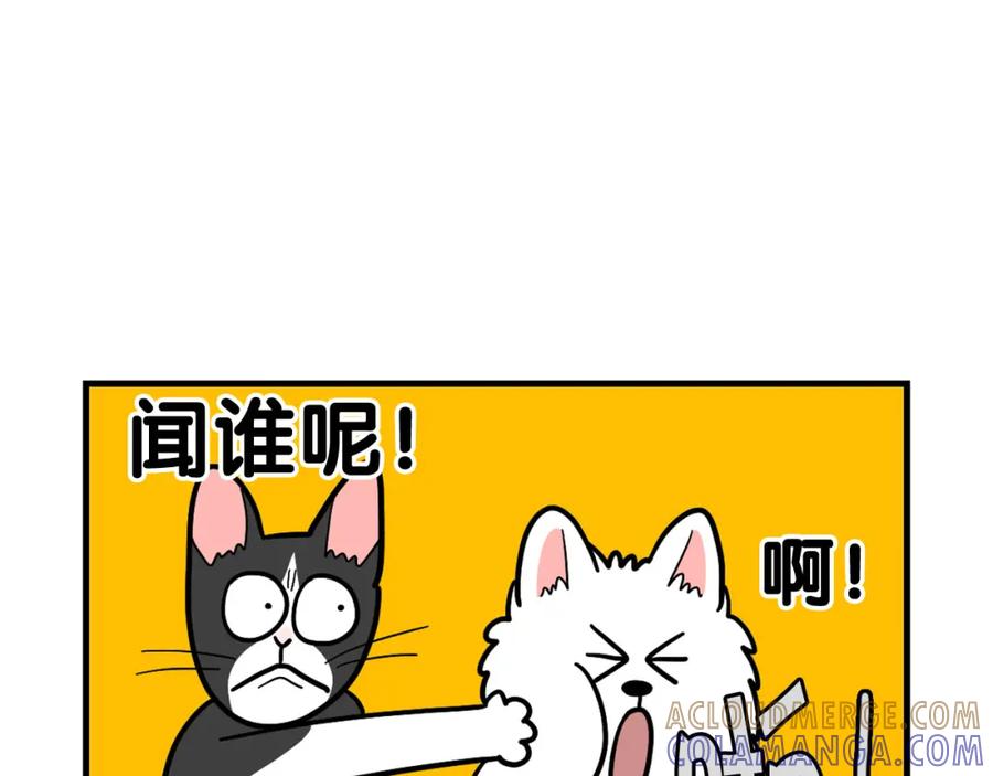 《我的狗子叫棉花》第27话 猫犬不宁？ 第61页