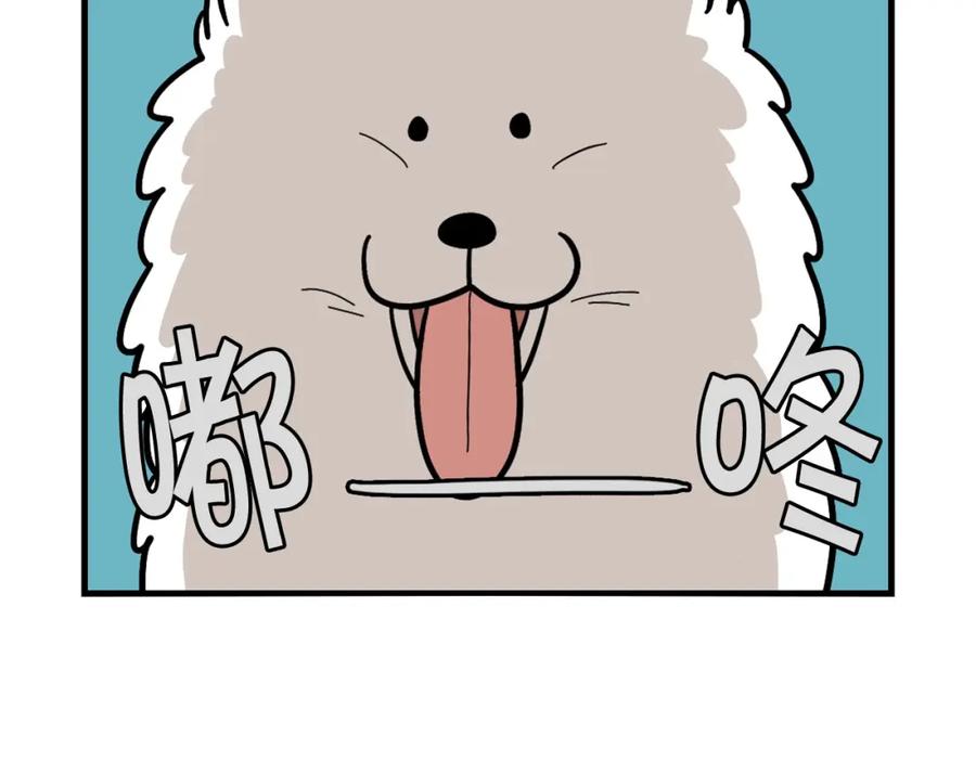 《我的狗子叫棉花》第27话 猫犬不宁？ 第72页