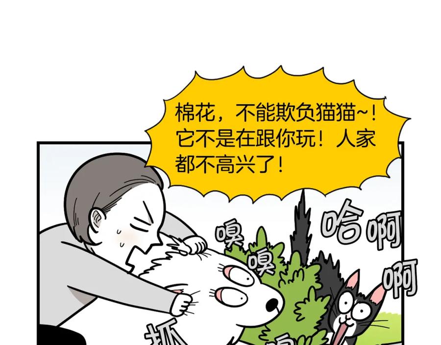 《我的狗子叫棉花》第27话 猫犬不宁？ 第84页