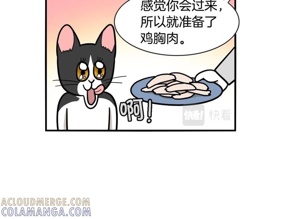 《我的狗子叫棉花》第27话 猫犬不宁？ 第49页