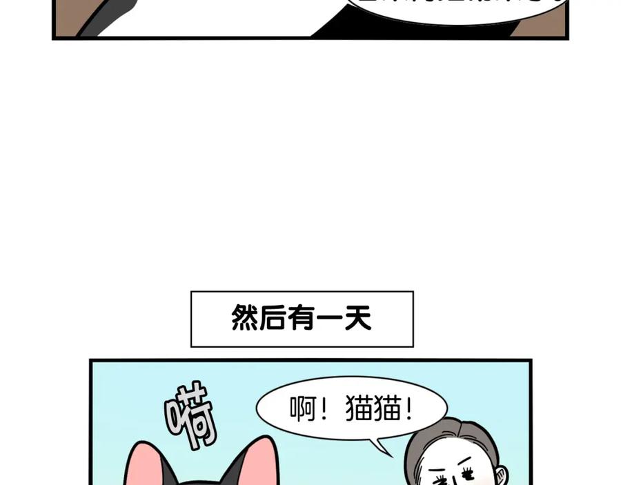 《我的狗子叫棉花》第27话 猫犬不宁？ 第53页