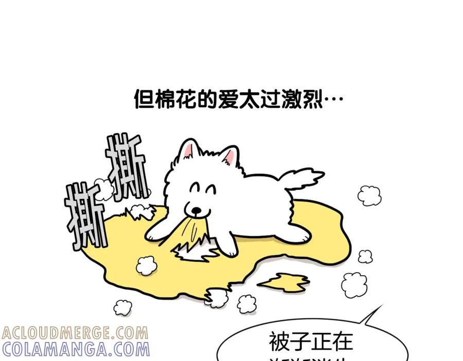 《我的狗子叫棉花》第27话 猫犬不宁？ 第25页