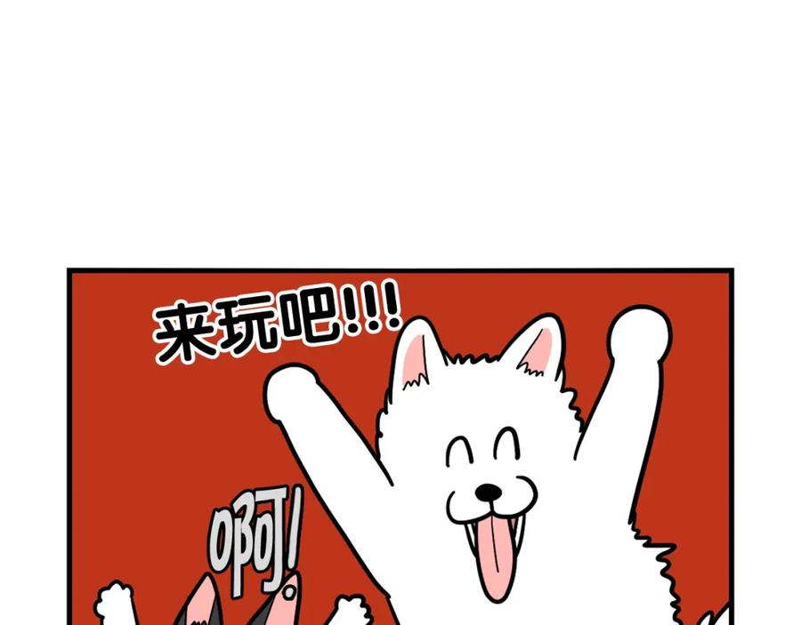 《我的狗子叫棉花》第27话 猫犬不宁？ 第81页