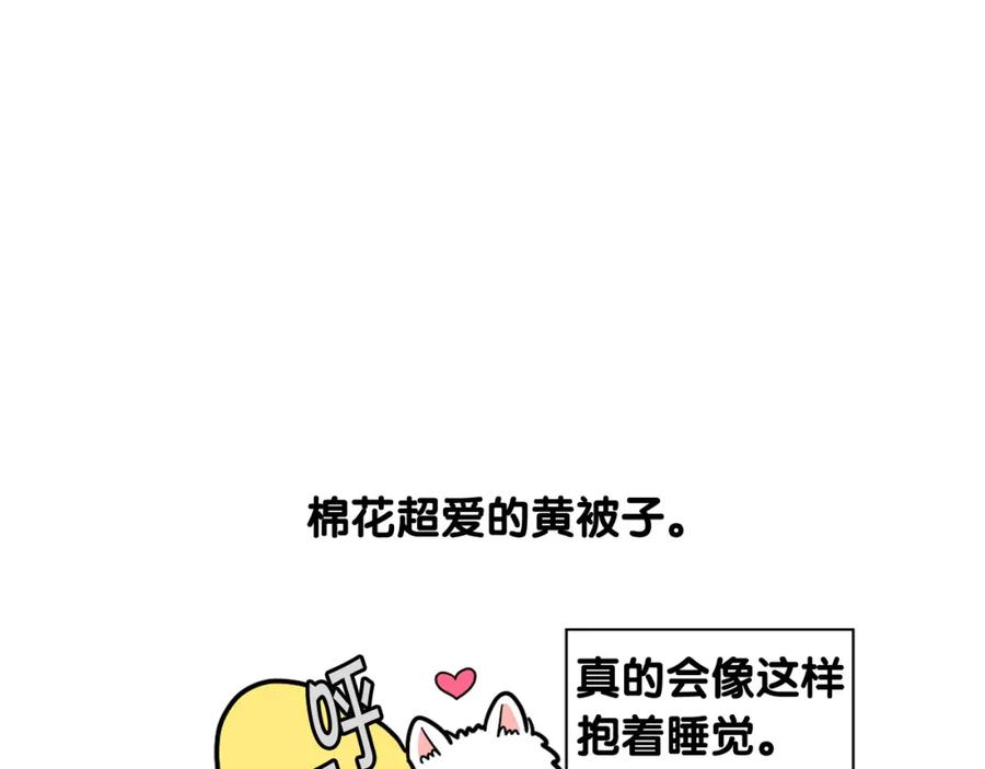 《我的狗子叫棉花》第27话 猫犬不宁？ 第5页