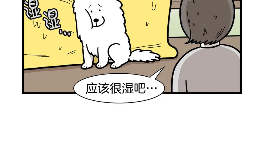 《我的狗子叫棉花》第27话 猫犬不宁？ 第24页
