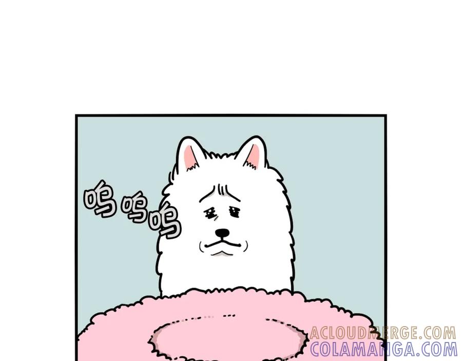 《我的狗子叫棉花》第27话 猫犬不宁？ 第34页