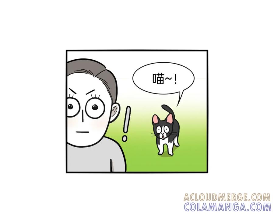 《我的狗子叫棉花》第27话 猫犬不宁？ 第46页