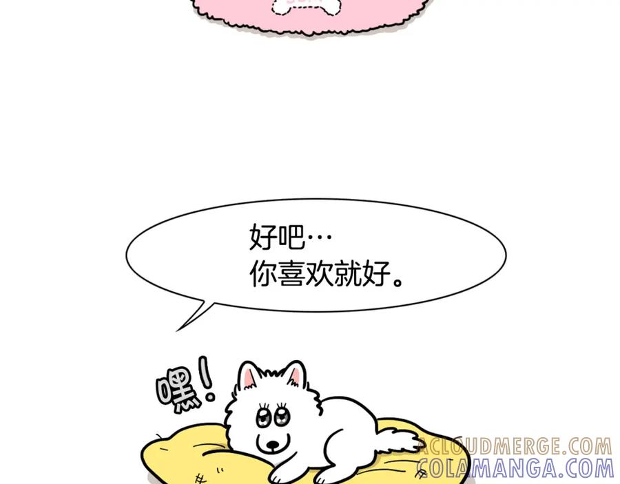 《我的狗子叫棉花》第27话 猫犬不宁？ 第13页