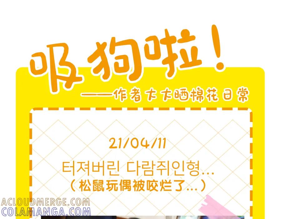 《我的狗子叫棉花》第27话 猫犬不宁？ 第91页