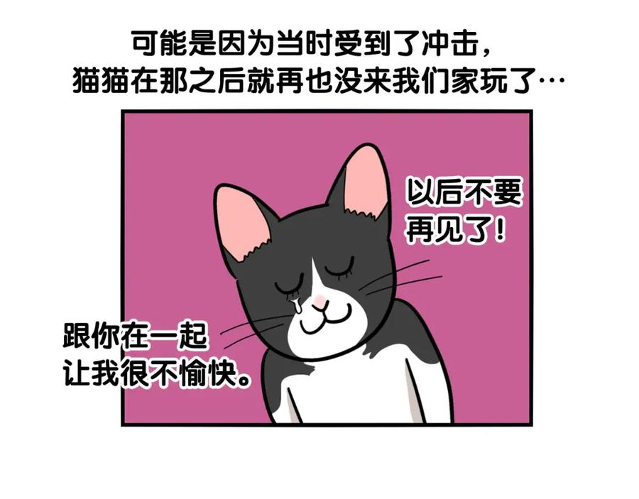 《我的狗子叫棉花》第27话 猫犬不宁？ 第89页