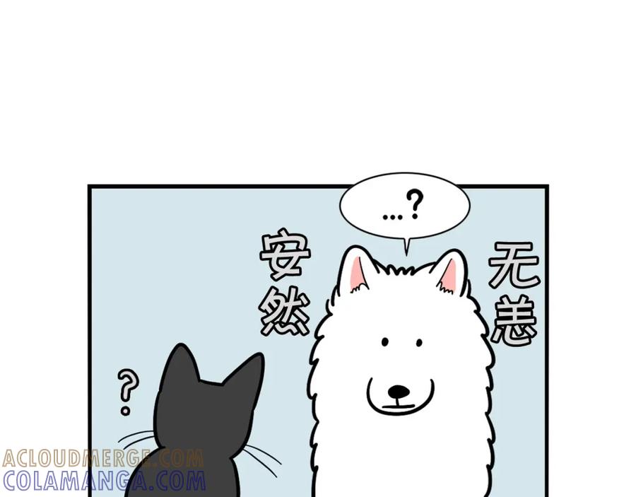 《我的狗子叫棉花》第27话 猫犬不宁？ 第79页